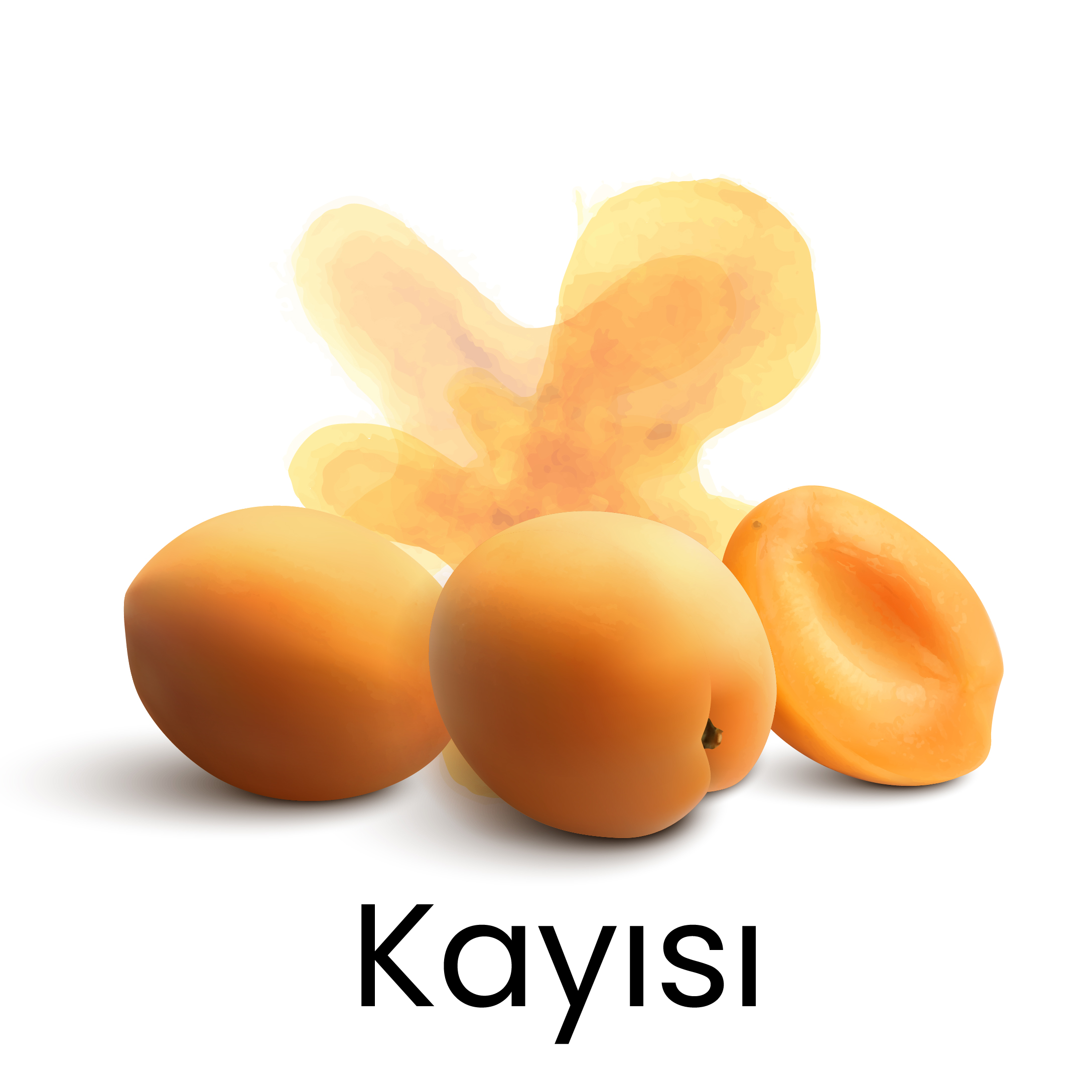 kayısı