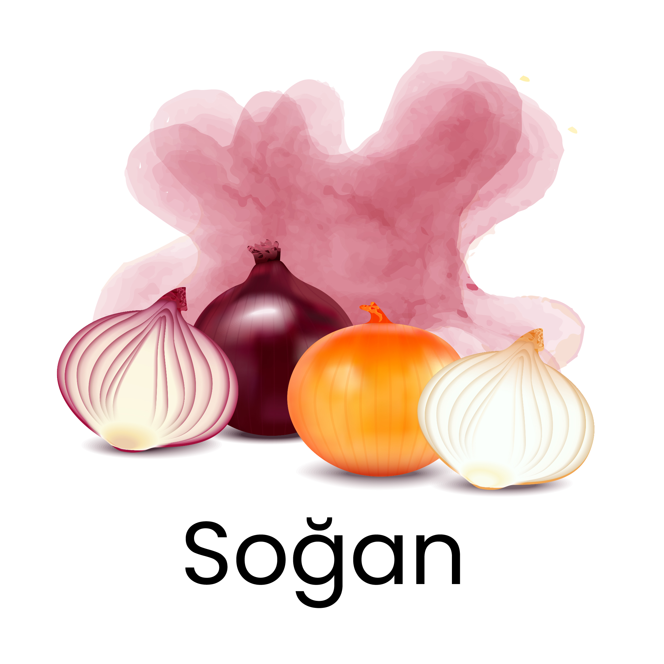 soğan